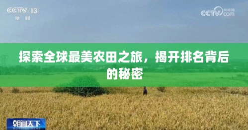 探索全球最美農(nóng)田之旅，揭開(kāi)排名背后的秘密
