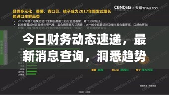 今日財務(wù)動態(tài)速遞，最新消息查詢，洞悉趨勢，掌握財經(jīng)動態(tài)