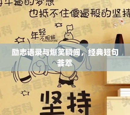 勵(lì)志語(yǔ)錄與爆笑瞬間，經(jīng)典短句薈萃