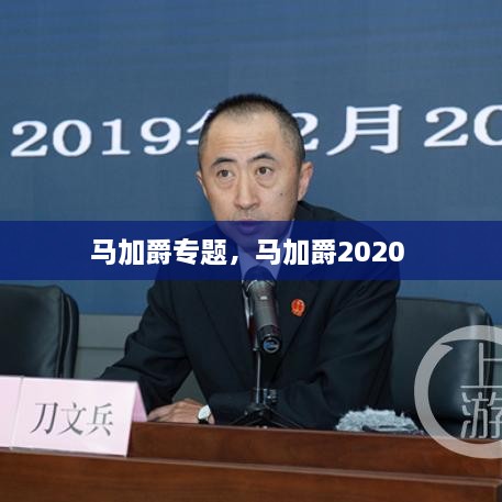 馬加爵專題，馬加爵2020 