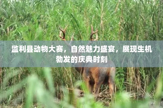 監(jiān)利縣動(dòng)物大賽，自然魅力盛宴，展現(xiàn)生機(jī)勃發(fā)的慶典時(shí)刻