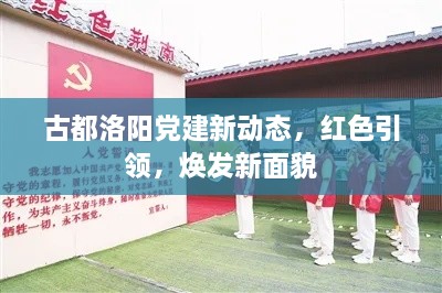 古都洛陽(yáng)黨建新動(dòng)態(tài)，紅色引領(lǐng)，煥發(fā)新面貌