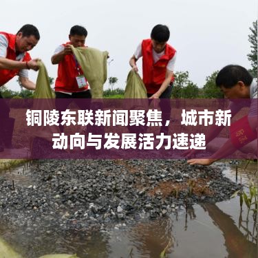 銅陵?yáng)|聯(lián)新聞聚焦，城市新動(dòng)向與發(fā)展活力速遞