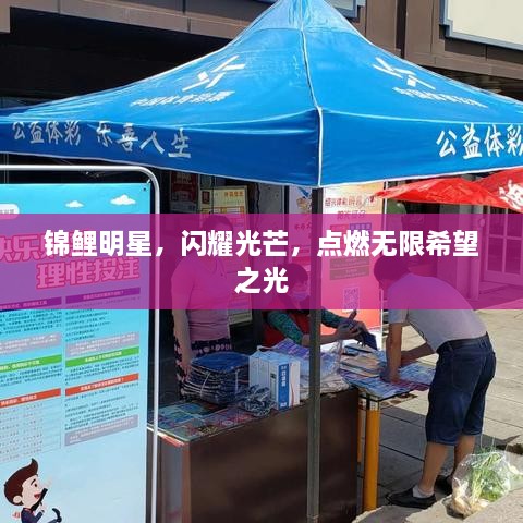 錦鯉明星，閃耀光芒，點燃無限希望之光