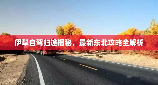 伊犁自駕歸途揭秘，最新東北攻略全解析