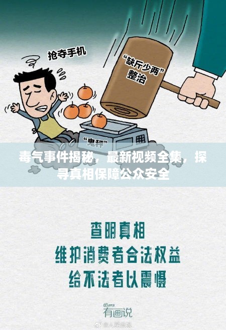 毒氣事件揭秘，最新視頻全集，探尋真相保障公眾安全