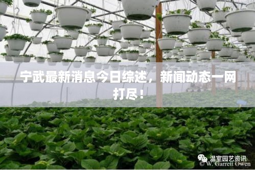 寧武最新消息今日綜述，新聞動(dòng)態(tài)一網(wǎng)打盡！