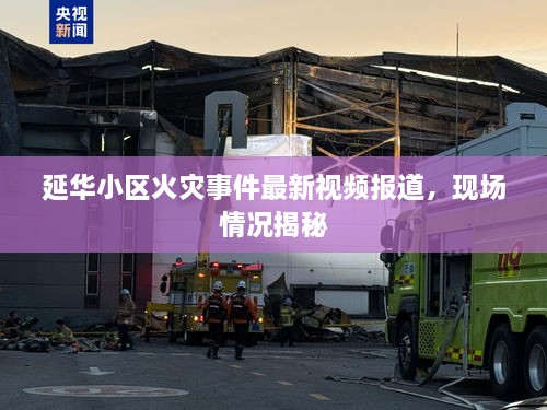 延華小區(qū)火災(zāi)事件最新視頻報道，現(xiàn)場情況揭秘