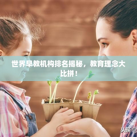 世界早教機(jī)構(gòu)排名揭秘，教育理念大比拼！
