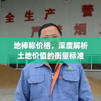 地棒稱(chēng)價(jià)格，深度解析土地價(jià)值的衡量標(biāo)準(zhǔn)