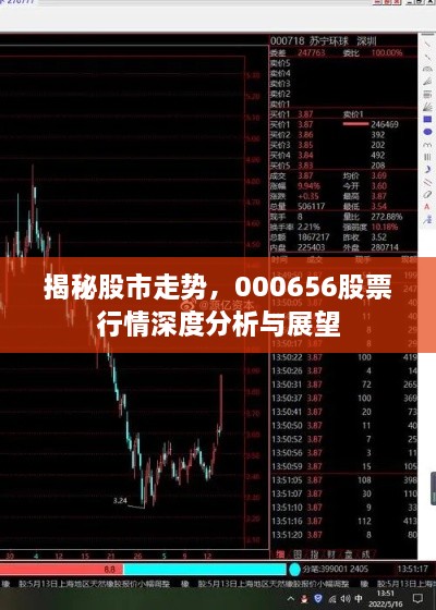揭秘股市走勢(shì)，000656股票行情深度分析與展望