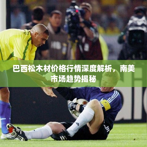 巴西松木材價(jià)格行情深度解析，南美市場趨勢揭秘