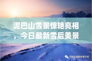 泥巴山雪景驚艷亮相，今日最新雪后美景報道！