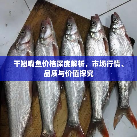 干翹嘴魚(yú)價(jià)格深度解析，市場(chǎng)行情、品質(zhì)與價(jià)值探究