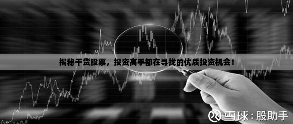 揭秘干貨股票，投資高手都在尋找的優(yōu)質(zhì)投資機(jī)會！