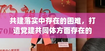 共建落實中存在的困難，打造黨建共同體方面存在的問題 
