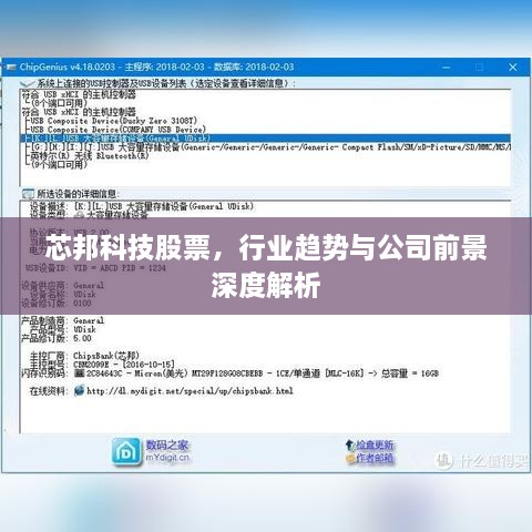 芯邦科技股票，行業(yè)趨勢(shì)與公司前景深度解析