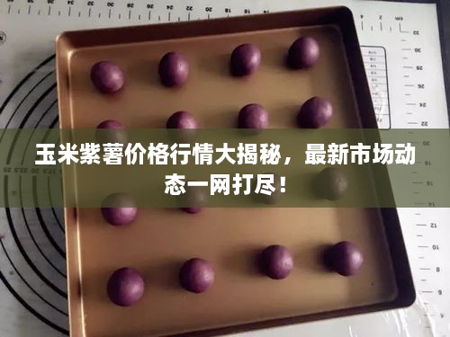 玉米紫薯價(jià)格行情大揭秘，最新市場動態(tài)一網(wǎng)打盡！