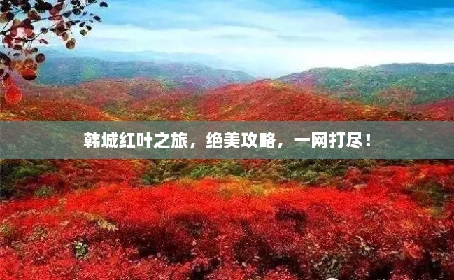 韓城紅葉之旅，絕美攻略，一網(wǎng)打盡！
