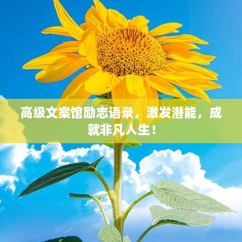 高級文案館勵志語錄，激發(fā)潛能，成就非凡人生！