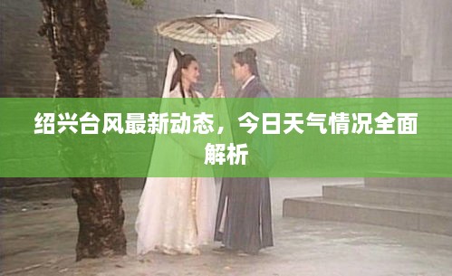 紹興臺風最新動態(tài)，今日天氣情況全面解析
