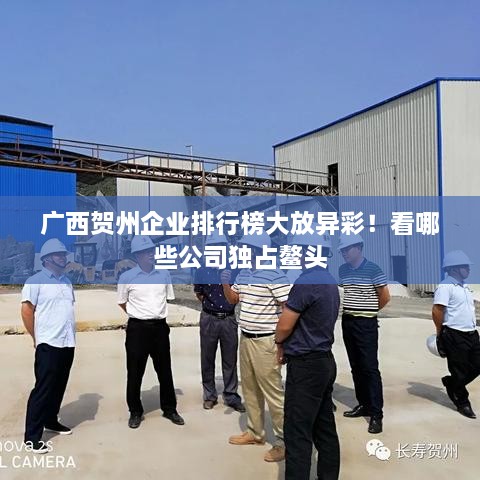 廣西賀州企業(yè)排行榜大放異彩！看哪些公司獨(dú)占鰲頭