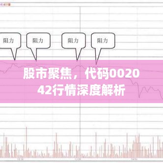 股市聚焦，代碼002042行情深度解析