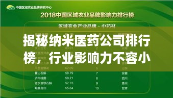 揭秘納米醫(yī)藥公司排行榜，行業(yè)影響力不容小覷！