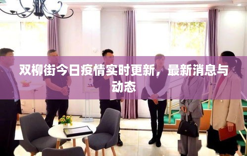 雙柳街今日疫情實(shí)時(shí)更新，最新消息與動態(tài)