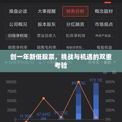 創(chuàng)一年新低股票，挑戰(zhàn)與機(jī)遇的雙重考驗(yàn)