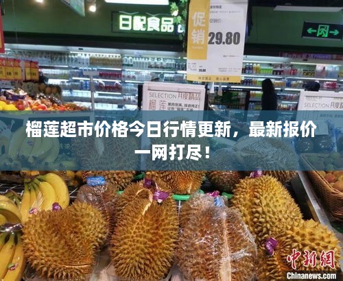 榴蓮超市價(jià)格今日行情更新，最新報(bào)價(jià)一網(wǎng)打盡！