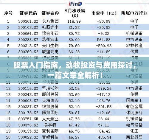 股票入門指南，動牧投資與費用探討，一篇文章全解析！