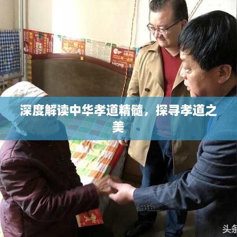 深度解讀中華孝道精髓，探尋孝道之美