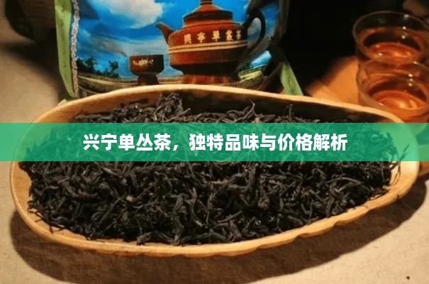 興寧單叢茶，獨特品味與價格解析