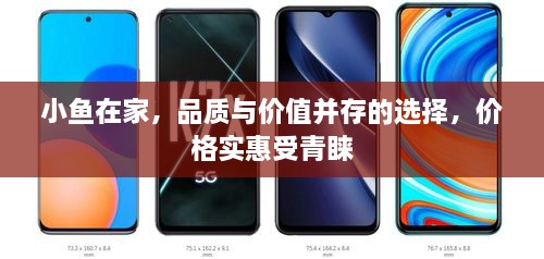 小魚(yú)在家，品質(zhì)與價(jià)值并存的選擇，價(jià)格實(shí)惠受青睞