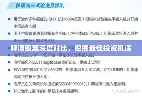 啤酒股票深度對(duì)比，挖掘最佳投資機(jī)遇