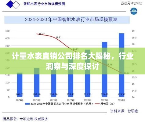 計(jì)量水表直銷公司排名大揭秘，行業(yè)洞察與深度探討