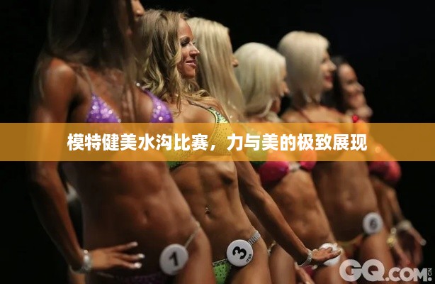 模特健美水溝比賽，力與美的極致展現(xiàn)
