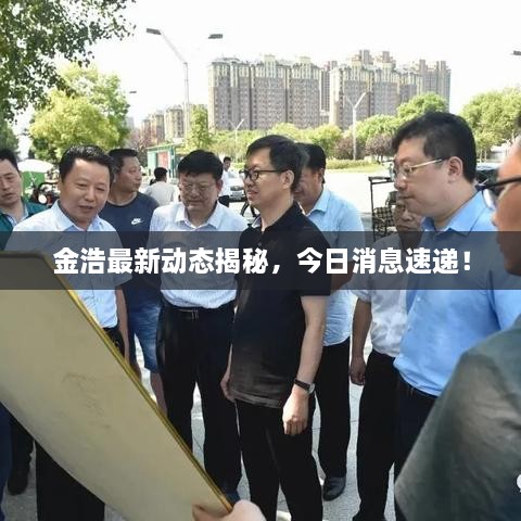 金浩最新動(dòng)態(tài)揭秘，今日消息速遞！