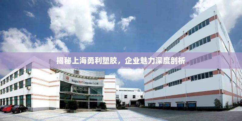 揭秘上海勇利塑膠，企業(yè)魅力深度剖析