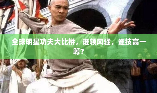全球明星功夫大比拼，誰領(lǐng)風(fēng)騷，誰技高一籌？