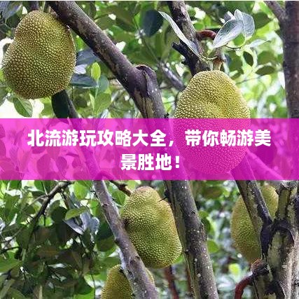 北流游玩攻略大全，帶你暢游美景勝地！