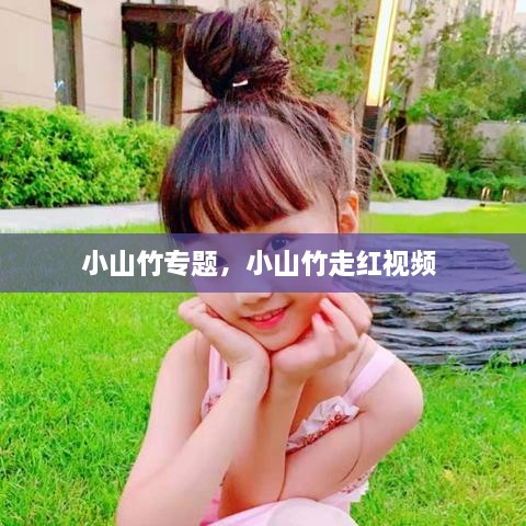 小山竹專題，小山竹走紅視頻 