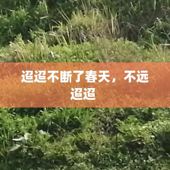 迢迢不斷了春天，不遠(yuǎn)迢迢 