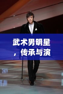 武術男明星，傳承與演繹的魅力展現(xiàn)