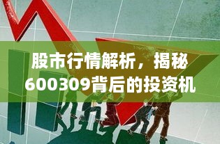 股市行情解析，揭秘600309背后的投資機(jī)會與挑戰(zhàn)
