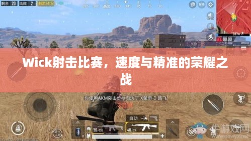 Wick射擊比賽，速度與精準的榮耀之戰(zhàn)