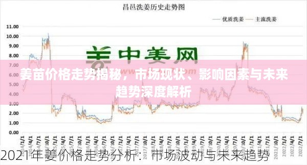 姜苗價格走勢揭秘，市場現(xiàn)狀、影響因素與未來趨勢深度解析