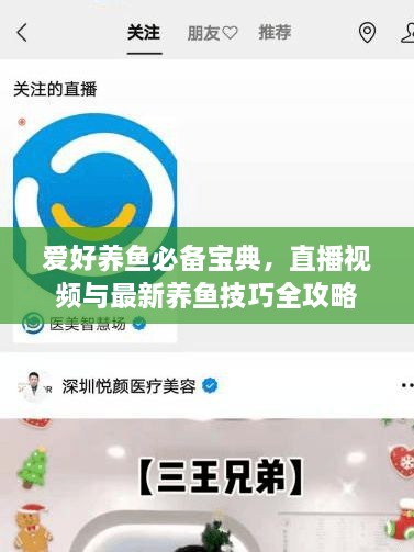 愛(ài)好養(yǎng)魚必備寶典，直播視頻與最新養(yǎng)魚技巧全攻略