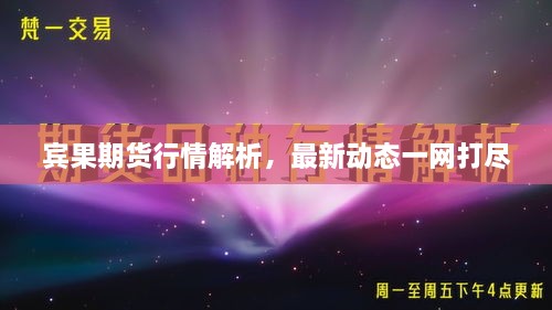 賓果期貨行情解析，最新動態(tài)一網(wǎng)打盡